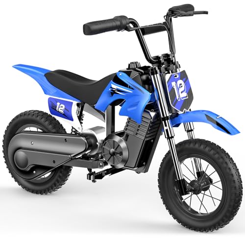 Elektro Motorrad Kinder, Elektromotorrad mit 36V 5.2Ah Batterie, 8/13/25 KMH Geschwindigkeitsmodus,...